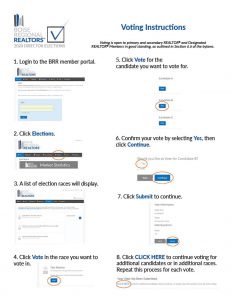 Voting Instructions