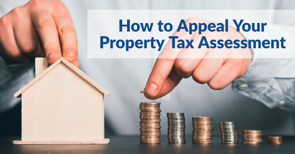 Will County Property Tax Appeal Deadline 2024 - Noemi Angeline